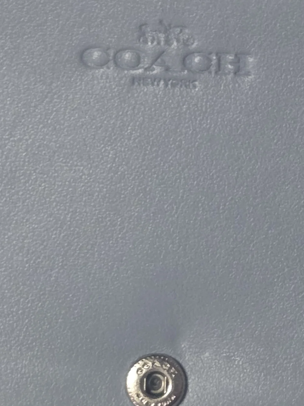 Coach Blue Gray Lizard-Textured Leather Wallet